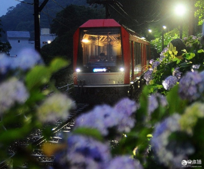 日本箱根登山铁路“夜之绣球花”号开始运行