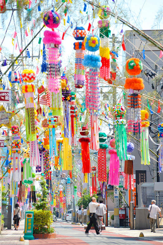 网友票选最想参加的日本节日 东京高圆寺阿波舞节位列第一