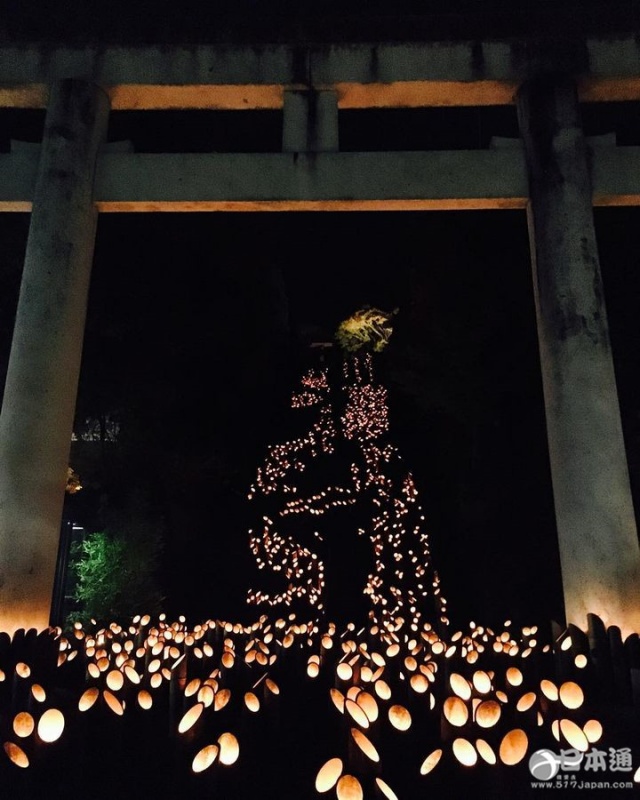 大分县竹灯祭 让你领略辉夜姬的世界