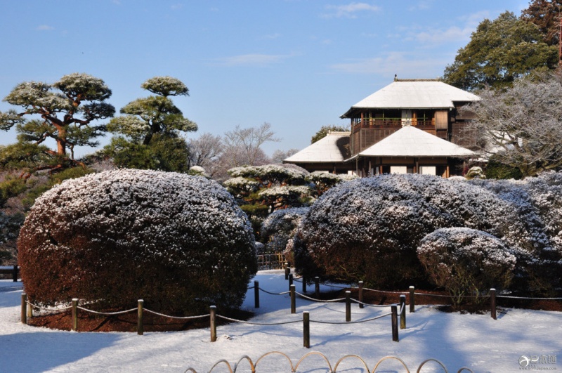 2015年造访茨城县的外国旅游团增长约3倍-日