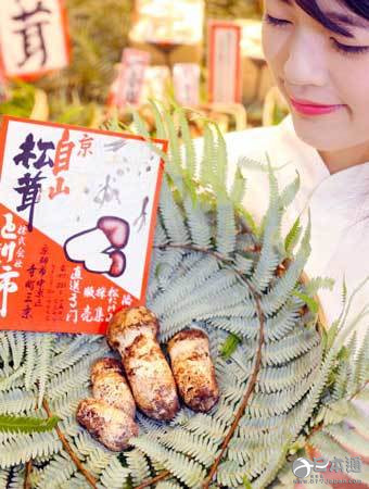 舌尖上的秋天 今年京都产首批松茸上市