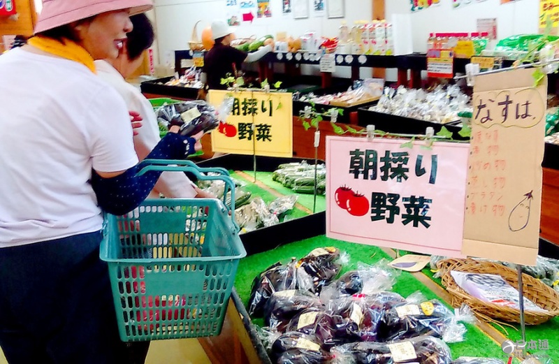 日本全国近期日照不足 蔬菜价格持续高涨