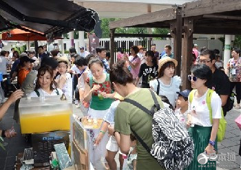 熊本市2015年外国游客数创历史新高