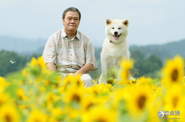 日本老戏骨西田敏行迎69岁生日