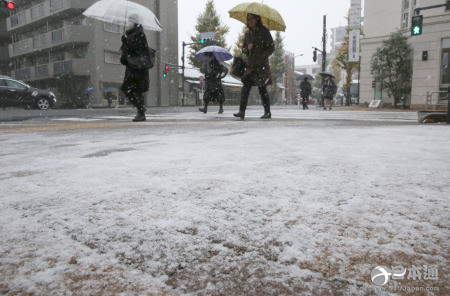 东京市中心近54年来首次在11月迎来初雪
