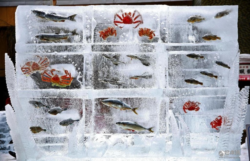 日本“札幌冰雪节”举行“鱼冰”例行展示