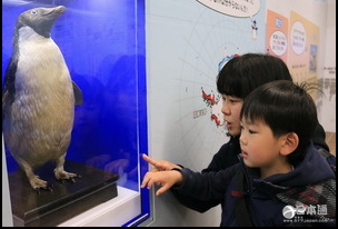 长崎企鹅水族馆春季特别企划展——南极企鹅最前线