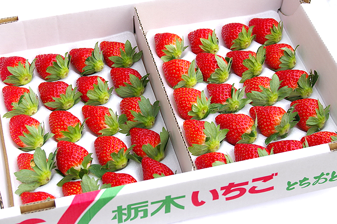 霓虹人怒了！草莓品种泄露到韩国 日本损失220亿日元