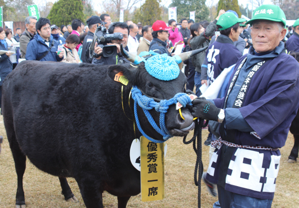 日本举行松阪牛评选 最高拍出2500万日元天价