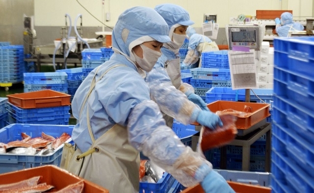 日本最大的廉价劳工,原来是留学生-日本经济