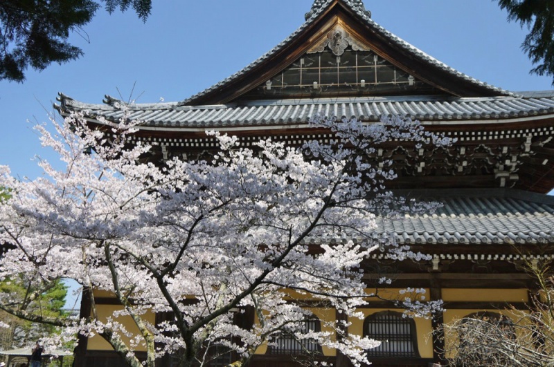 京都也要征收住宿税了，推荐10个景点抓紧来看看……