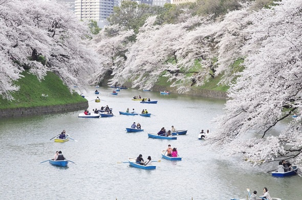 美杂志公布全球魅力城市榜单Top10：日本两地上榜
