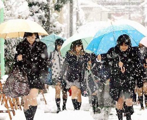 大雪天穿短裙露大腿，日本女生真的不冷吗？