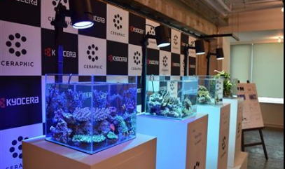 日本京瓷公司将发售近乎自然光的LED灯 目标营业额为10亿日元