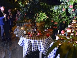 日本福岛市举办“桃园晚会” 在果香中品味美酒