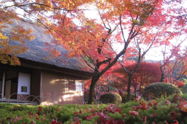 十一出游好去处 日本九州赏红叶景点推荐