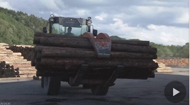 日本北海道鹉川町木材加工厂即使恢复生产也无法保证木材充足