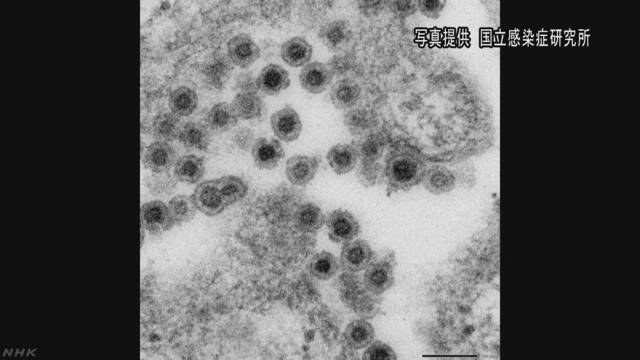 日本风疹患者一周内被感染人数超100人 研究院呼吁应当接种疫苗