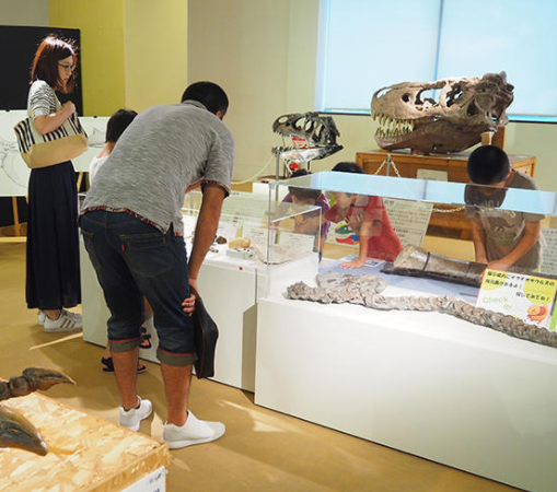 岐阜县购物中心MAGO举办迷你恐龙展  展出50件恐龙化石和模型