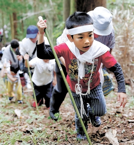 日本气仙沼市羽田神社举行“山崖”活动 祈祷孩子健康成长