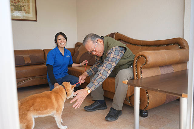 日本最大的狗狗养老院与健身中心，你知道吗？