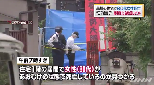 东京住宅内发现女性死亡 57岁儿子将其杀害后企图自杀