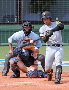 高中棒球长崎选拔赛 波佐见时隔16年重获甲子园门票