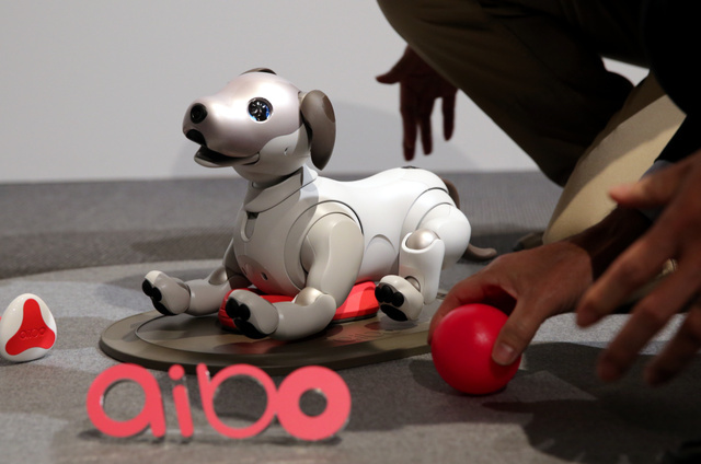 索尼宠物机器人“AIBO”预约开始30分钟完售