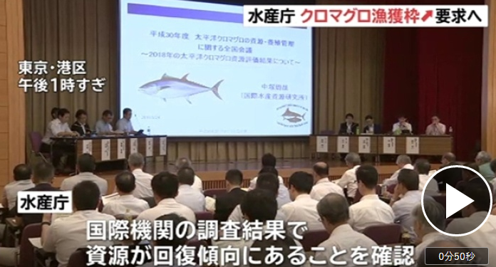 日本水产厅将申请提升黑色金枪鱼的捕捞量上限