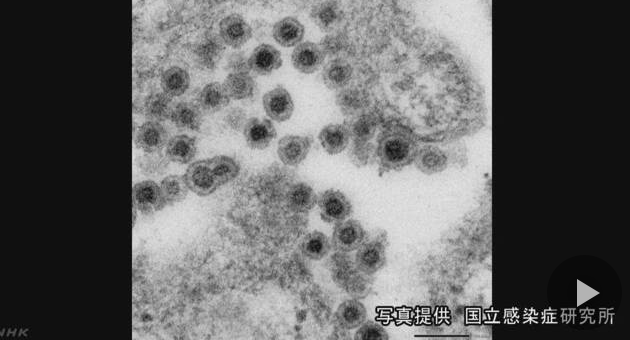日本东京都内患风疹人数持续上升 普及疫苗迫在眉睫