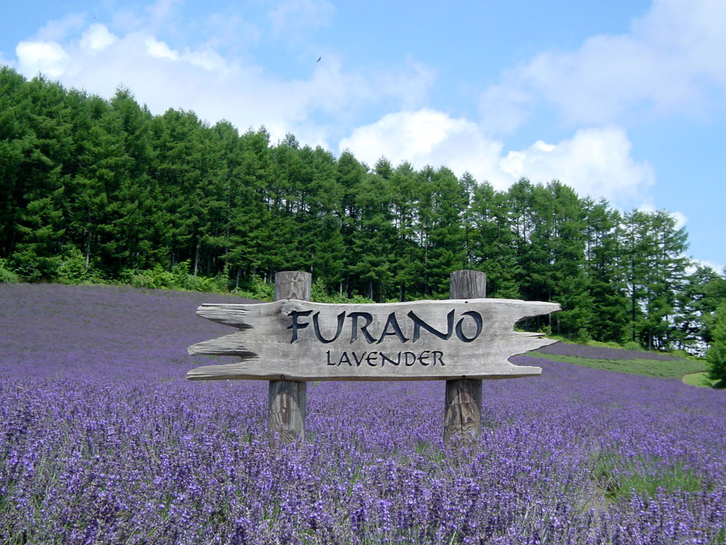 日本代拍-日本计划对北海道住宿费打折 希望尽