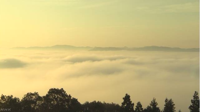 日本广岛县三次市 呈现幻想中的“雾之海”美景