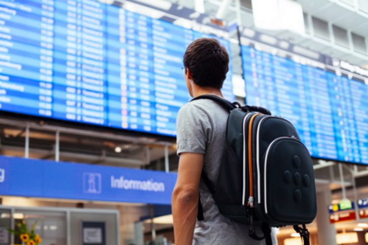 8月日本海外住宿旅客较同期增长15% 中国游客占比最多