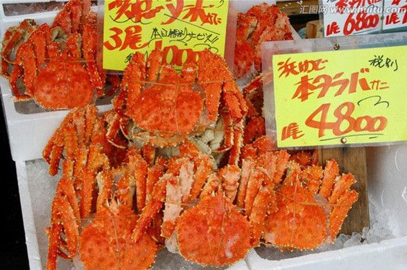 日本专家预测日本海一带的帝王蟹数量将在三年后减至一半