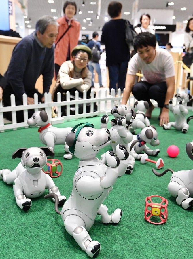 日本大阪市举行新家用犬型机器人Aibo的交流活动