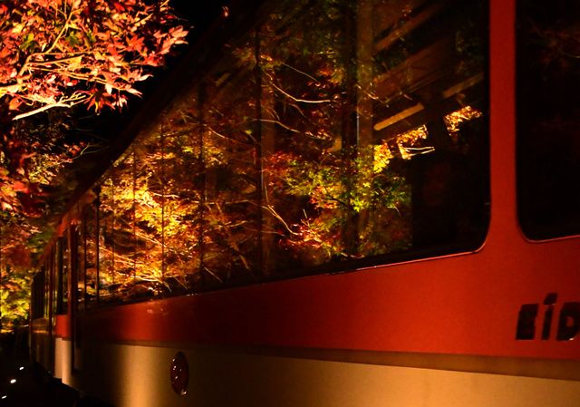 感受京都“红叶隧道”的独特枫景——叡山电车鞍马线