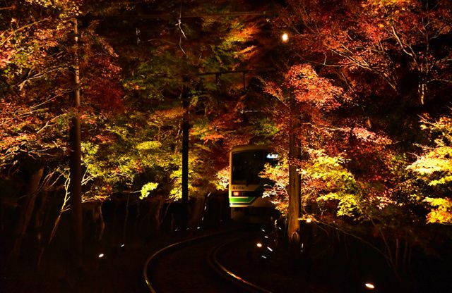 感受京都“红叶隧道”的独特枫景——叡山电车鞍马线