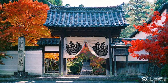 日本寺庙文化科普：“山”“院”“寺”到底哪个是名字