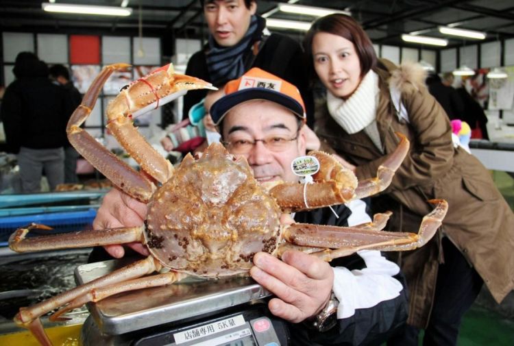 日本香住渔民捕获重达两公斤的松叶蟹 