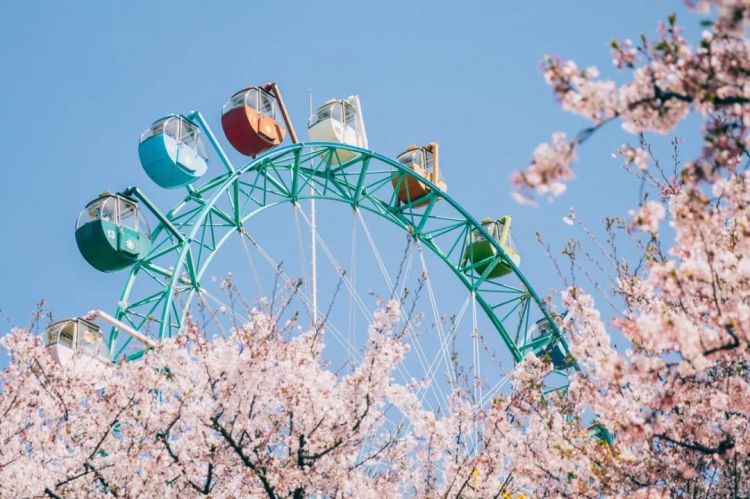 确定了！日本签证大放宽！无需资产证明，2019年樱花季随时出发！