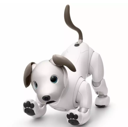 索尼aibo与SECOM合作 追加机器宠物狗“室内巡逻功能”