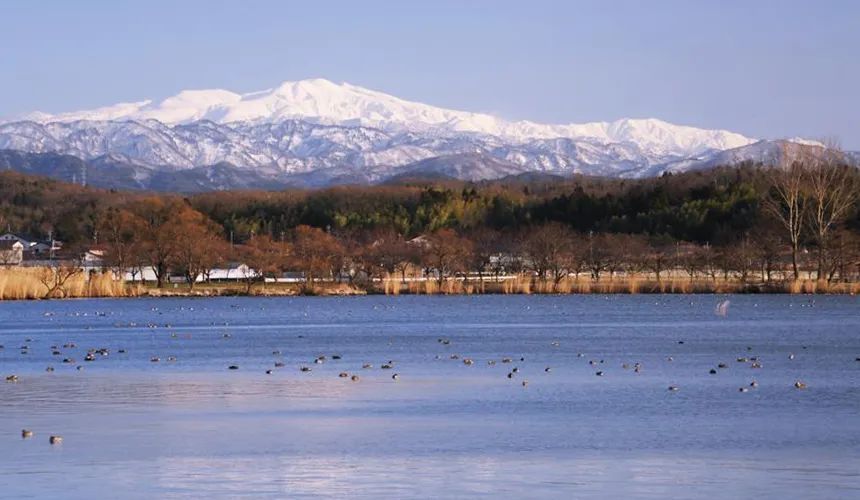 日本北陆这个美景美食满载的小众旅行地比你想象中好玩多了