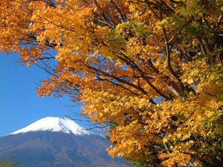 日本生活之四季气候介绍