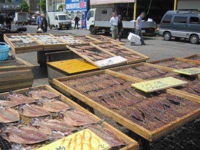 探秘日本海鲜市场——日立市的那柯凑海鲜市场