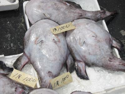 探秘日本海鲜市场——日立市的那柯凑海鲜市场