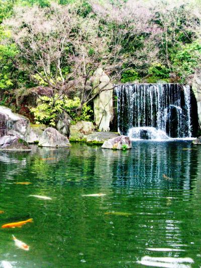 姬路城好古园——幽静唯美的日本庭园