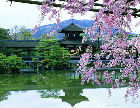 古都京都的文化遗产