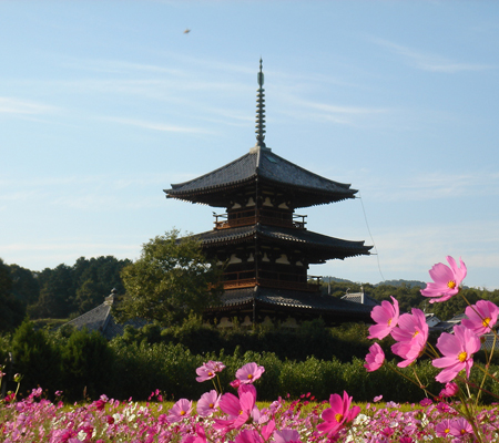 法隆寺地区的佛教建筑　