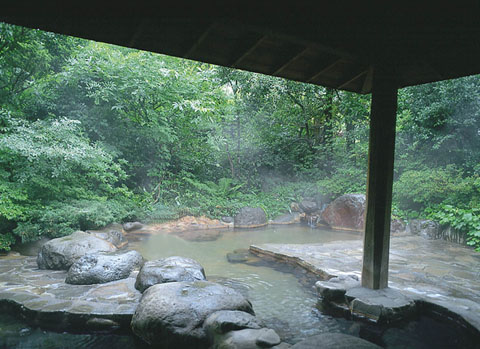 山与水的呼应  日本可观望山景的温泉
