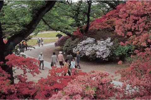 久保田城的旧址 千秋公园